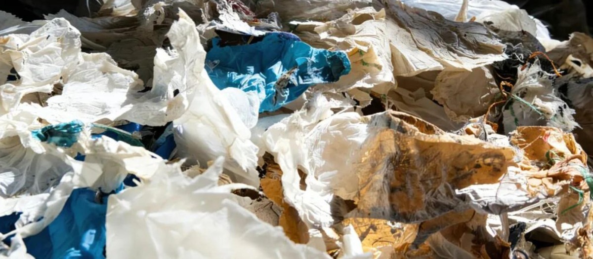 CDW light materials sorting