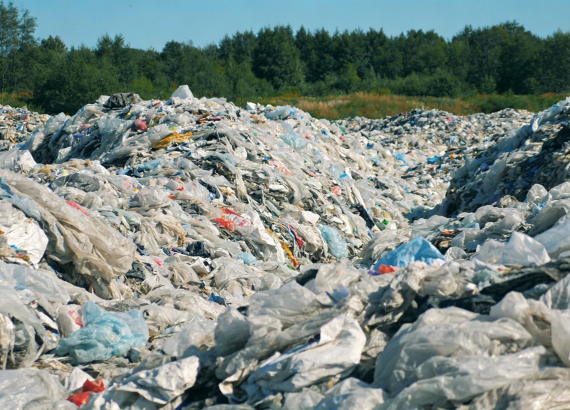 フィルム選別、ブレークスルーの瀬戸際 ― 技術の転換点到来